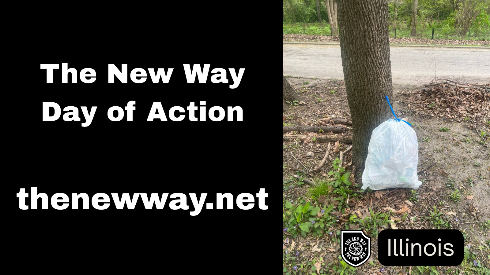the new way day of action illinois