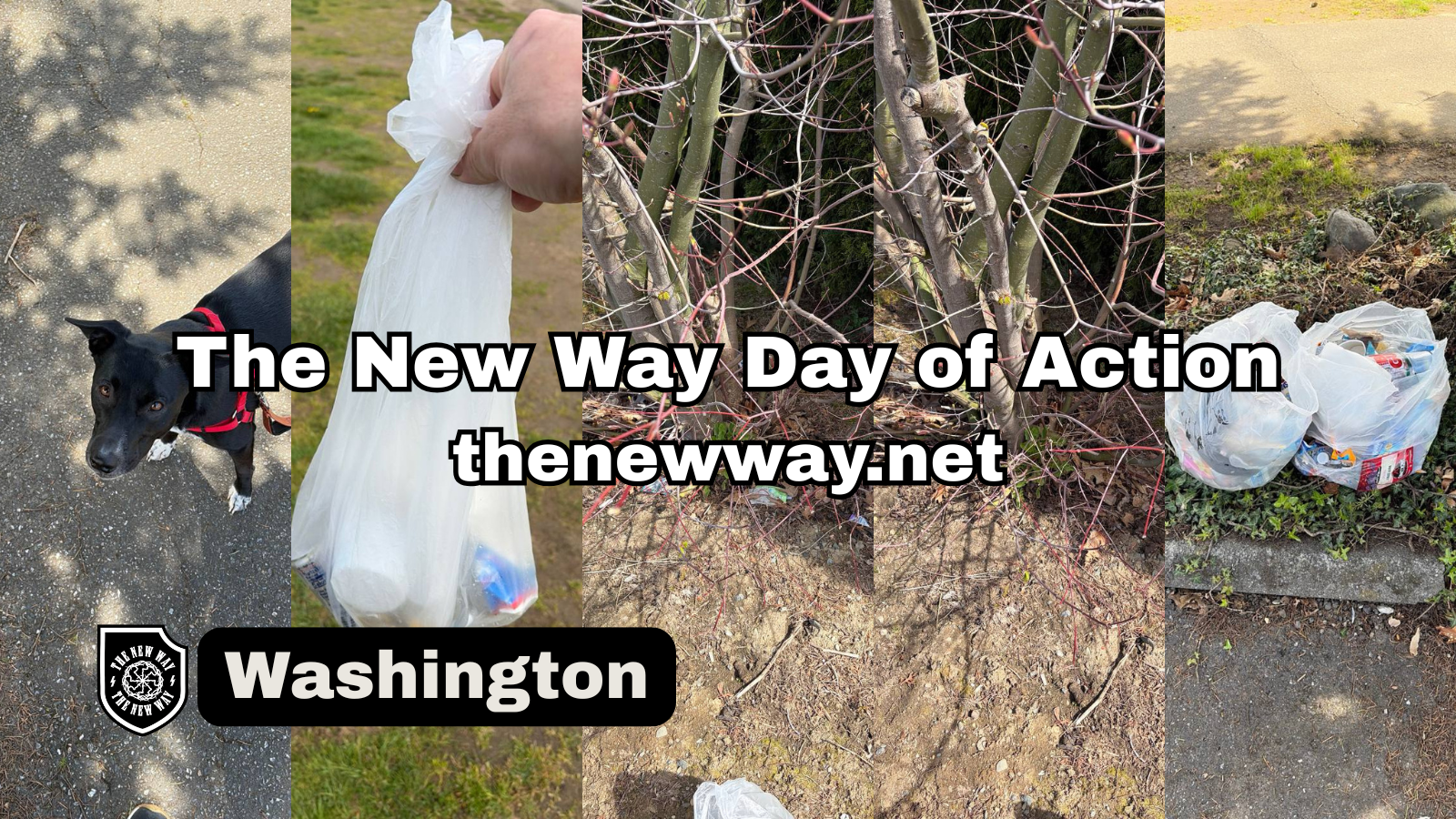 the new way day of action washington