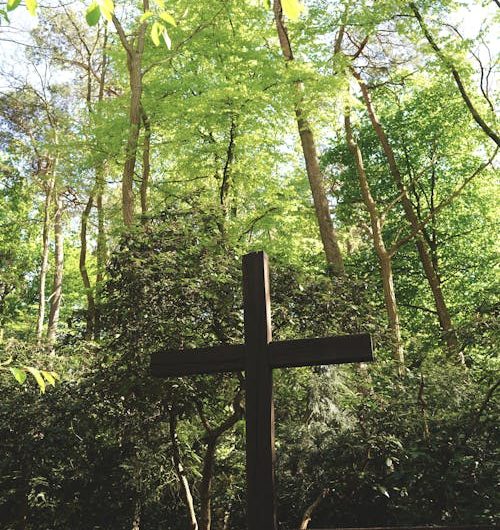 free photo of wooden cross in lush forest of rheda wiedenbruck